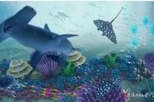 云开足球平台桌面版客户端